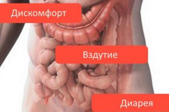 Разница между диареей и дисбактериозом