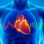 Какова связь между активностью желудка и ритмом сердца
