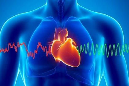 Какова связь между активностью желудка и ритмом сердца