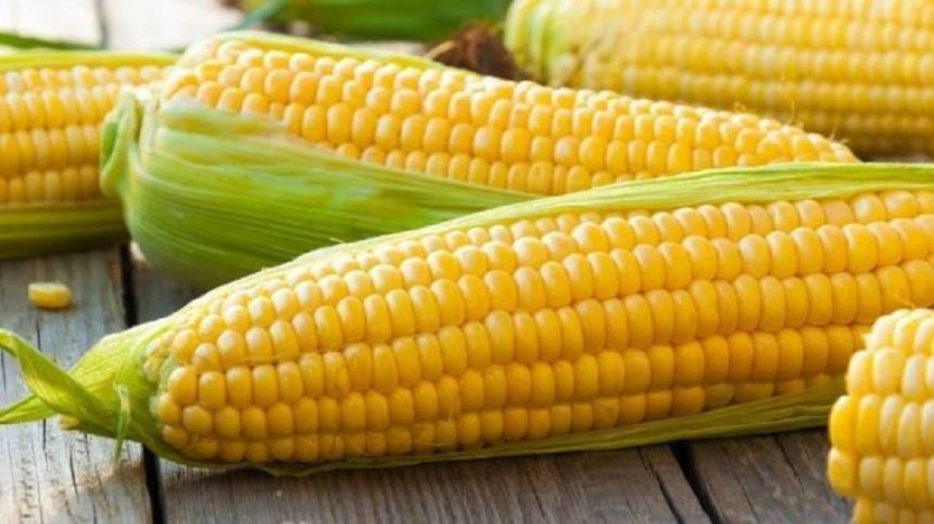 Почему кукурузу нужно есть с осторожностью