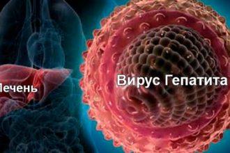 Вирусные гепатиты и их воздействие на организм человека
