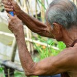 Сохранение тонуса мышц в пожилом возрасте
