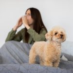 Как жить с собакой, если у вас на нее аллергия