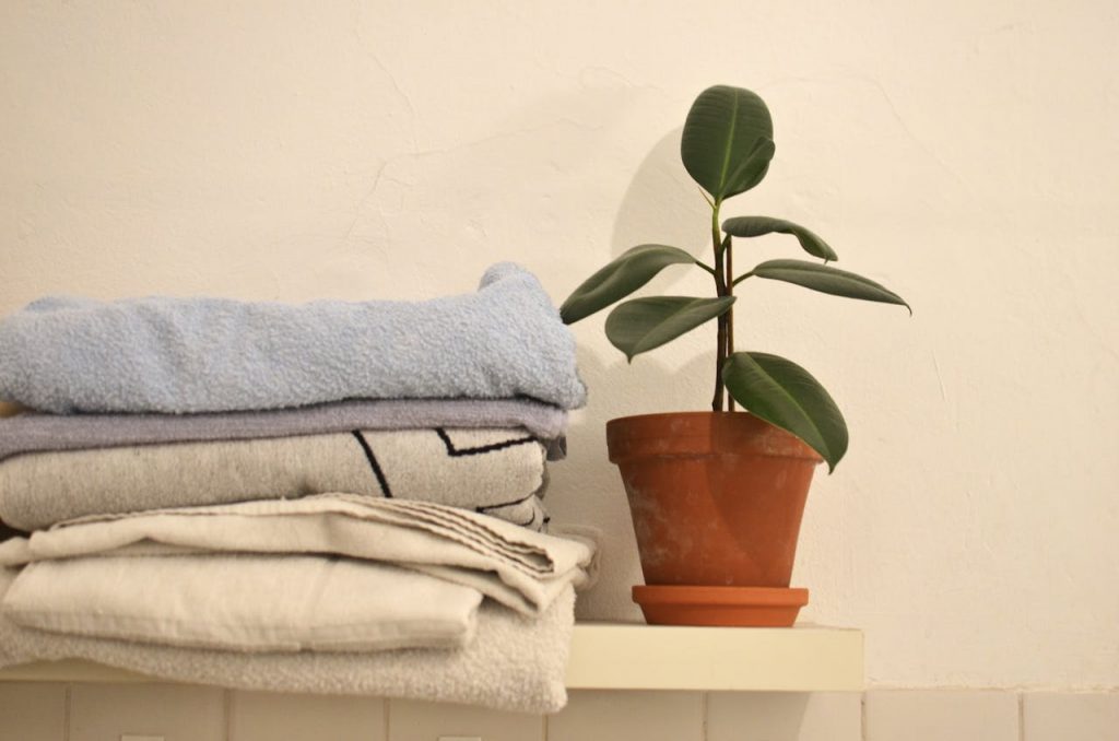 5 комнатных растений, которые помогут вам лучше дышать