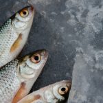 Неожиданные причины, почему ваш кал может пахнуть рыбой