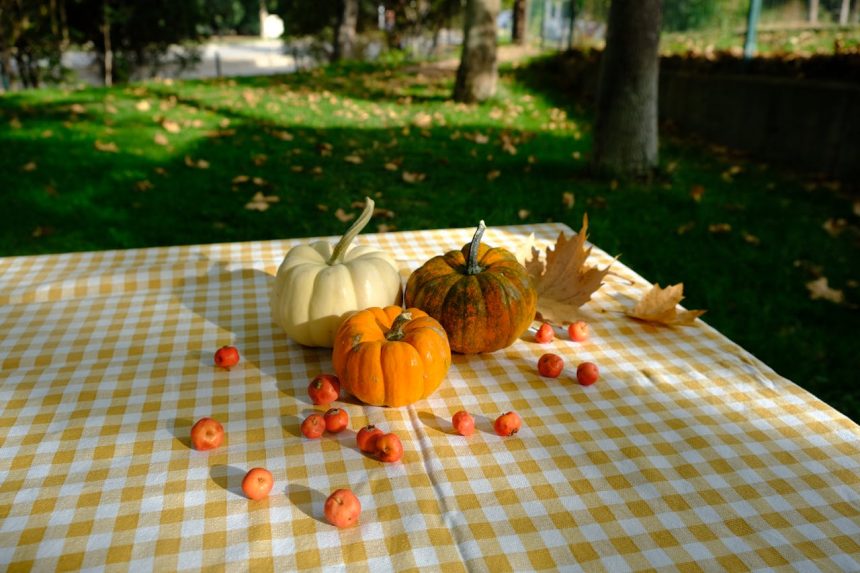 Погода в Украине ноябрь 2025 года: теплое начало и прохладная вторая половина