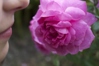 Миллионы людей потеряли обоняние после COVID-19 и даже не догадываются об этом