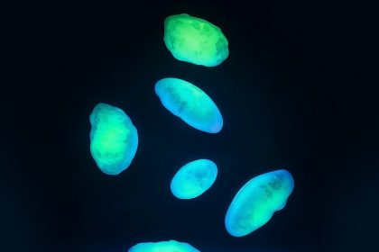 Светящиеся таблетки вместо колоноскопии: что такое и какова их роль в медицине