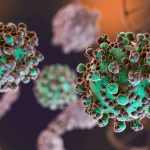 Как грибок из Чернобыля помогает защитить астронавтов от радиации: удивительные открытия ученых