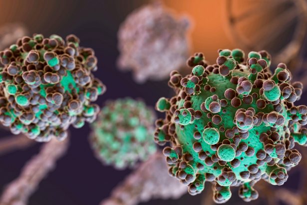 Как грибок из Чернобыля помогает защитить астронавтов от радиации: удивительные открытия ученых