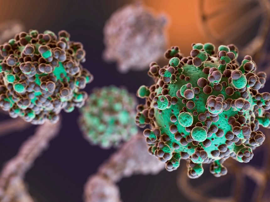 Как грибок из Чернобыля помогает защитить астронавтов от радиации: удивительные открытия ученых