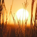 Магнитные бури 20 декабря 2025 в Украине: прогноз солнечной активности на сегодня