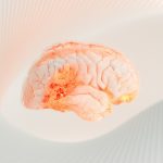 Изменения в мозге после COVID-19: что показали новые исследования ученых