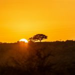 Магнитные бури 12 декабря 2025 в Украине: прогноз солнечной активности на сегодня