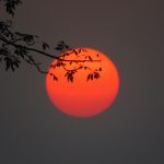 Магнитные бури 26 декабря 2025 в Украине: прогноз солнечной активности на сегодня