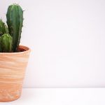 Ощущение инородного тела в заднем проходе: что это означает и как с этим справиться?