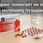 Для чего принимают Канефрон: польза, вред, противопоказания и правила приема