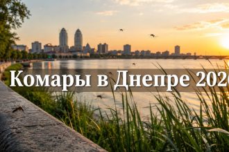 Комары в Днепре весной и летом 2026: когда начинается пик, где их больше всего и как защититься от укусов