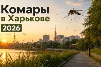 Комары в Харькове весной и летом 2026: когда начинается пик, где их больше всего и как защититься от укусов