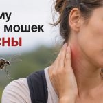 Укусы мошек в Украине становятся опаснее: кто в группе риска и когда идти к врачу
