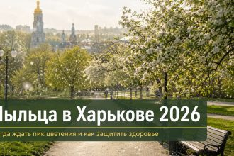 Аллергия и пыльца в Харькове 2026: что цветет в мае, как избежать и лечить симптомы