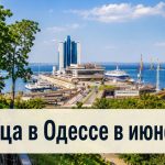 Аллергия и пыльца в Одессе 2026: что цветет в июне, как избежать и лечить симптомы