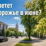 Аллергия и пыльца в Запорожье 2026: что цветет в июне, как избежать и лечить симптомы