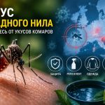 Вирус Западного Нила в Европе 2026: что такое, симптомы и как защититься от заражения