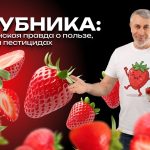 Доктор Комаровский о клубнике: польза, мифы, аллергия и пестициды