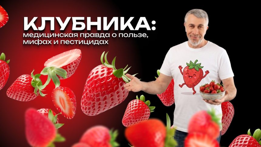 Доктор Комаровский о клубнике: польза, мифы, аллергия и пестициды