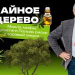 Масло чайного дерева: доктор Комаровский объяснил, где польза, а где опасные мифы
