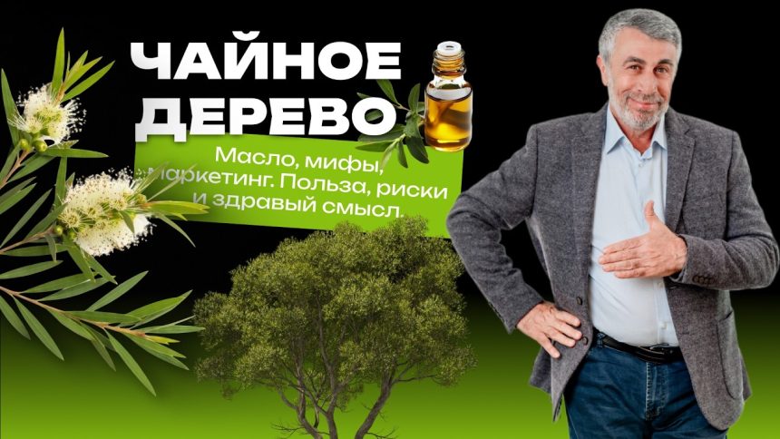 Масло чайного дерева: доктор Комаровский объяснил, где польза, а где опасные мифы