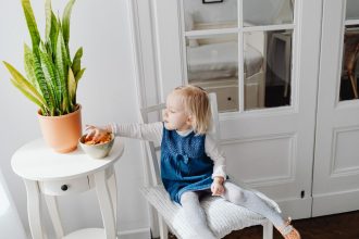 Какие комнатные растения опасны для ребенка: список цветов, которые лучше убрать из детской или даже из дома