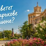 Аллергия и пыльца в Харькове 2026: что цветет в июне, как избежать и лечить симптомы
