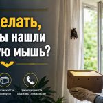 Летучие мыши в Украине 2026: где водятся, как избежать укуса и чем грозит укус