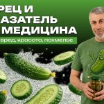 Доктор Комаровский об огурцах: польза, вред, кожа, нитраты и похмелье