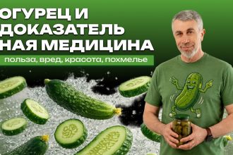 Доктор Комаровский об огурцах: польза, вред, кожа, нитраты и похмелье