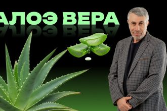Доктор Комаровский объяснил, когда алоэ вера помогает, а когда это просто маркетинг