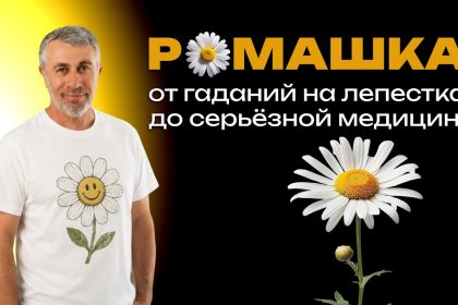 Доктор Комаровский рассказал правду о ромашке: где польза доказана, а где работают мифы