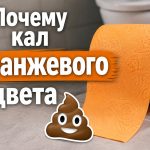 Оранжевый кал у взрослого: причины, на какие болезни указывает и что делать