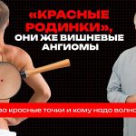 Доктор Комаровский объяснил, что означают красные точки на коже и когда вишневые ангиомы требуют проверки