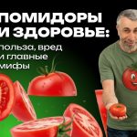 Доктор Комаровский разобрал пользу помидоров: кому они подходят и какие мифы пора забыть