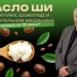 Доктор Комаровский разобрал масло ши: что оно делает с кожей и зачем его добавляют в шоколад