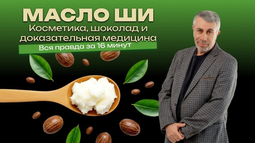 Доктор Комаровский разобрал масло ши: что оно делает с кожей и зачем его добавляют в шоколад