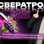 Доктор Комаровский объяснил, помогает ли ресвератрол жить дольше и стоит ли ради него пить красное вино