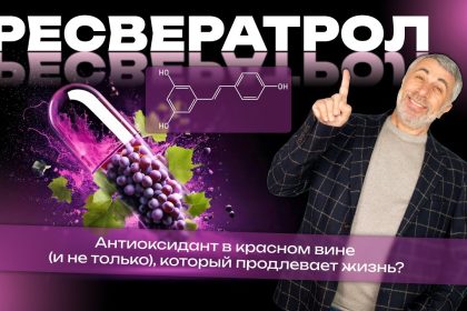 Доктор Комаровский объяснил, помогает ли ресвератрол жить дольше и стоит ли ради него пить красное вино