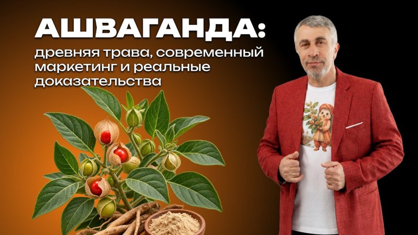 Доктор Комаровский объяснил, стоит ли принимать ашваганду: где заканчивается польза и начинается маркетинг