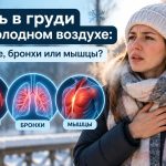 Болит грудь на холодном воздухе: сердце, бронхи или мышцы — как понять причину