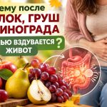 Почему после яблок, груш и винограда осенью вздувается живот: причины, симптомы и как уменьшить дискомфорт