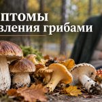 Отравление грибами: первые симптомы, через сколько часов становится плохо и что делать при интоксикации